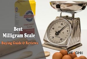 Best-Milligram-Scale-Reviews