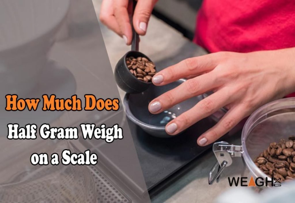 How Much Does a Half Gram Weigh on a Scale? WeighMag