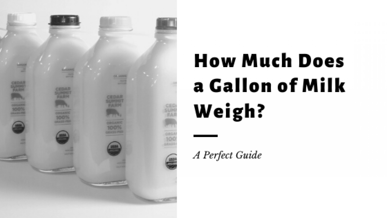 How Much Does a Gallon of Milk Weigh? WeighMag