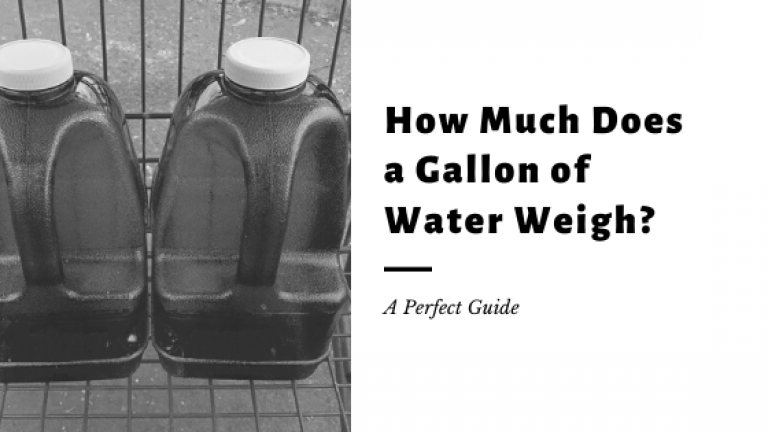 how many pounds is 1 gallon of water weigh