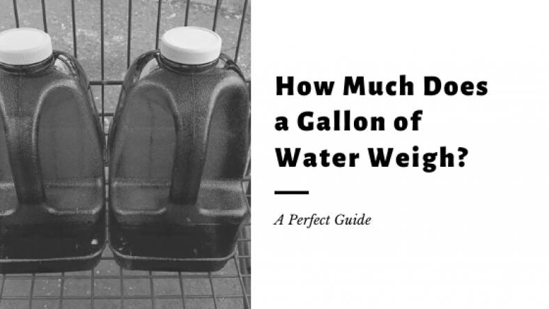 How Much Does a Gallon of Water Weigh
