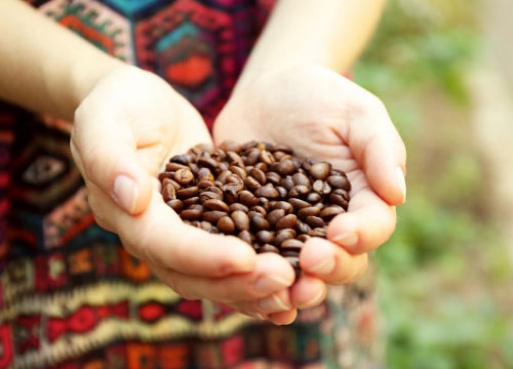 measuring coffee beans with hands