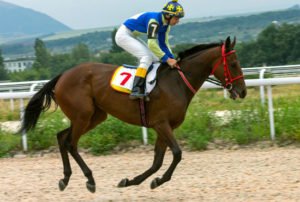 Jockey on horse