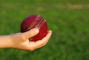 Weighing a cricket ball with a bear hand