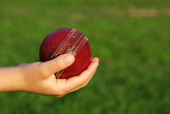 Weighing a cricket ball with a bear hand