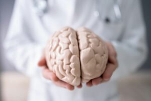 Doctor Holding Human Brain Model