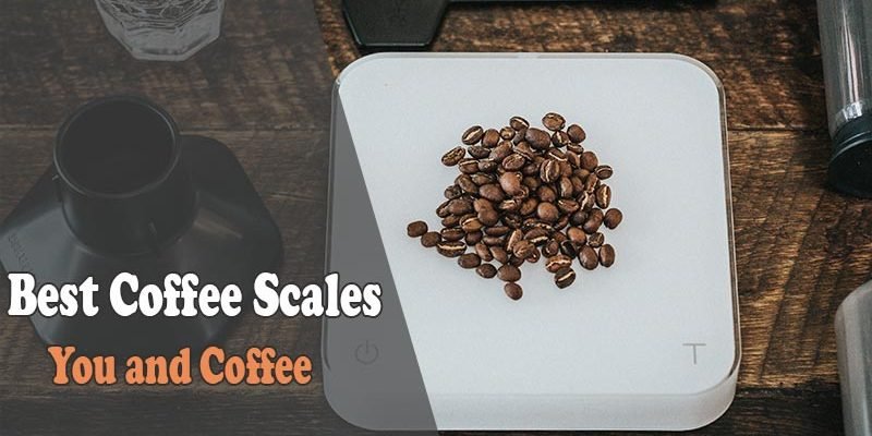 Best Coffee Scales Reviews in 2019