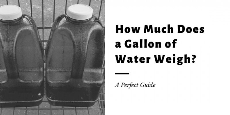 How Much Does a Gallon of Water Weigh?